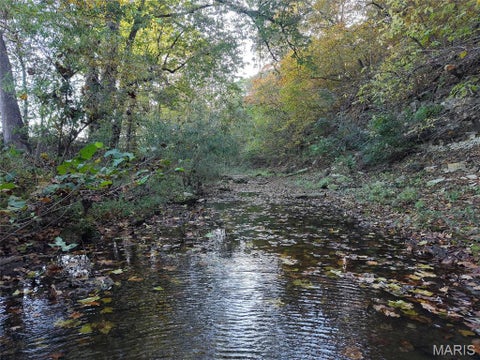 Tiny photo for 95 Wurtz Road, Hermann, MO 65041 (MLS # 26069019)