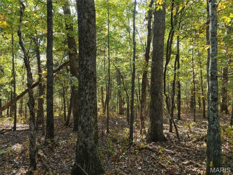 Tiny photo for 95 Wurtz Road, Hermann, MO 65041 (MLS # 26069019)
