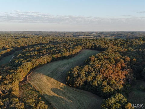 Tiny photo for 95 Wurtz Road, Hermann, MO 65041 (MLS # 26069019)