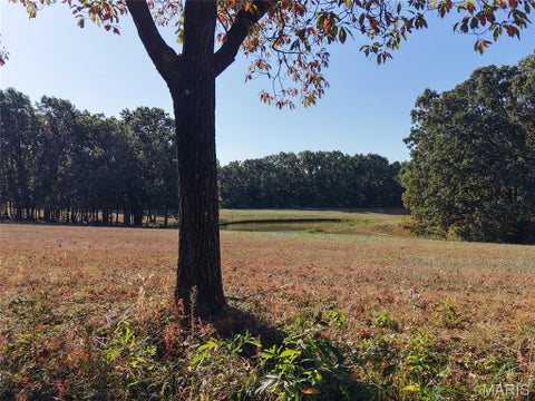 Tiny photo for 95 Wurtz Road, Hermann, MO 65041 (MLS # 26069019)