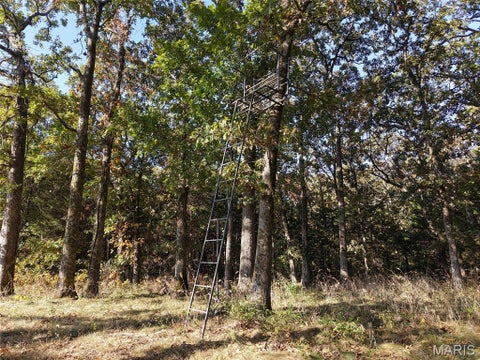 Tiny photo for 95 Wurtz Road, Hermann, MO 65041 (MLS # 26069019)
