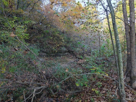 Tiny photo for 95 Wurtz Road, Hermann, MO 65041 (MLS # 26069019)