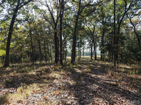 Tiny photo for 95 Wurtz Road, Hermann, MO 65041 (MLS # 26069019)