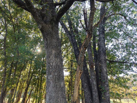 Tiny photo for 95 Wurtz Road, Hermann, MO 65041 (MLS # 26069019)
