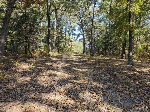 Tiny photo for 95 Wurtz Road, Hermann, MO 65041 (MLS # 26069019)