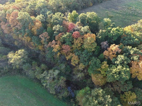Tiny photo for 95 Wurtz Road, Hermann, MO 65041 (MLS # 26069019)