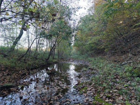 Tiny photo for 95 Wurtz Road, Hermann, MO 65041 (MLS # 26069019)