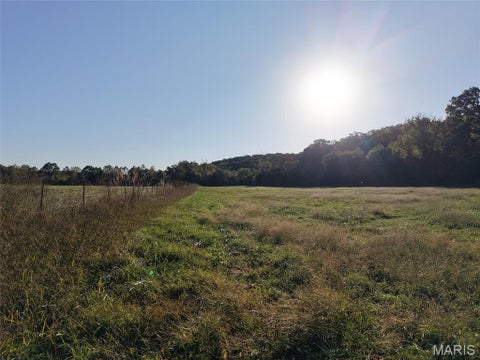 Tiny photo for 95 Wurtz Road, Hermann, MO 65041 (MLS # 26069019)