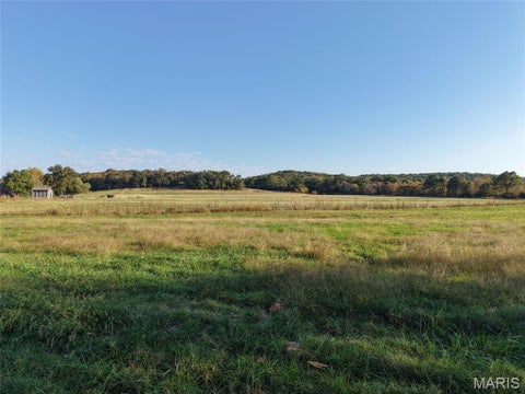 Tiny photo for 95 Wurtz Road, Hermann, MO 65041 (MLS # 26069019)