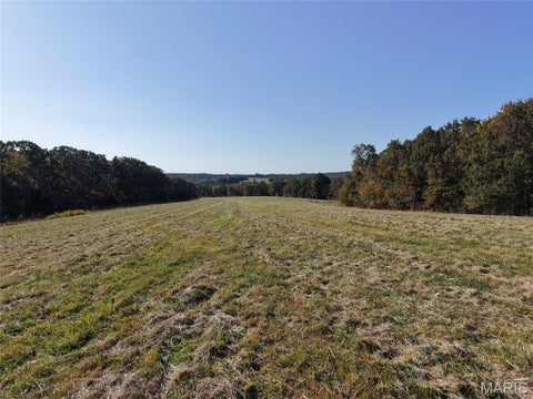 Tiny photo for 95 Wurtz Road, Hermann, MO 65041 (MLS # 26069019)