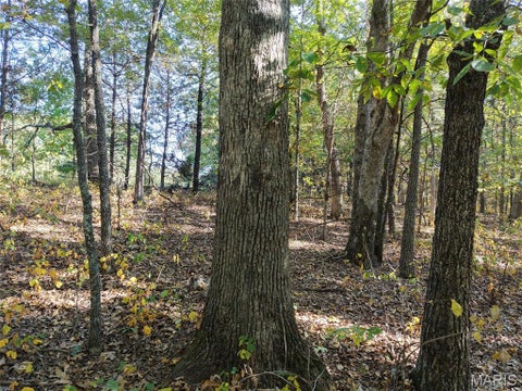 Tiny photo for 95 Wurtz Road, Hermann, MO 65041 (MLS # 26069019)