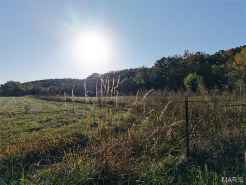 Tiny photo for 95 Wurtz Road, Hermann, MO 65041 (MLS # 26069019)