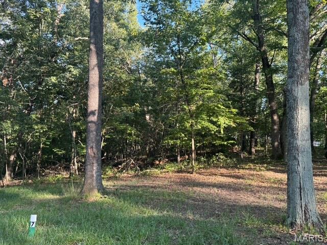 180 Steeple Point Dr. Lot #7 Drive