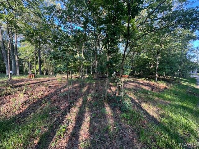 180 Steeple Point Dr. Lot #7 Drive