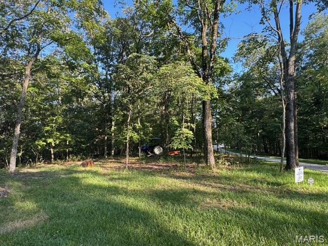 180 Steeple Point Dr. Lot #7 Drive