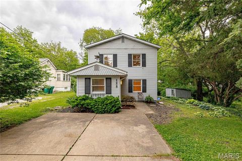 Photo of 125 E Frisco Avenue, Webster Groves, MO 63119 (MLS # 26027930)