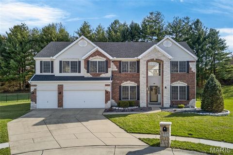 Photo of 223 KNOLLHAVEN Trail, OFallon, IL 62269 (MLS # 26004224)