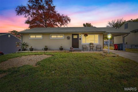 11214 Behr Drive St Louis MO 63123