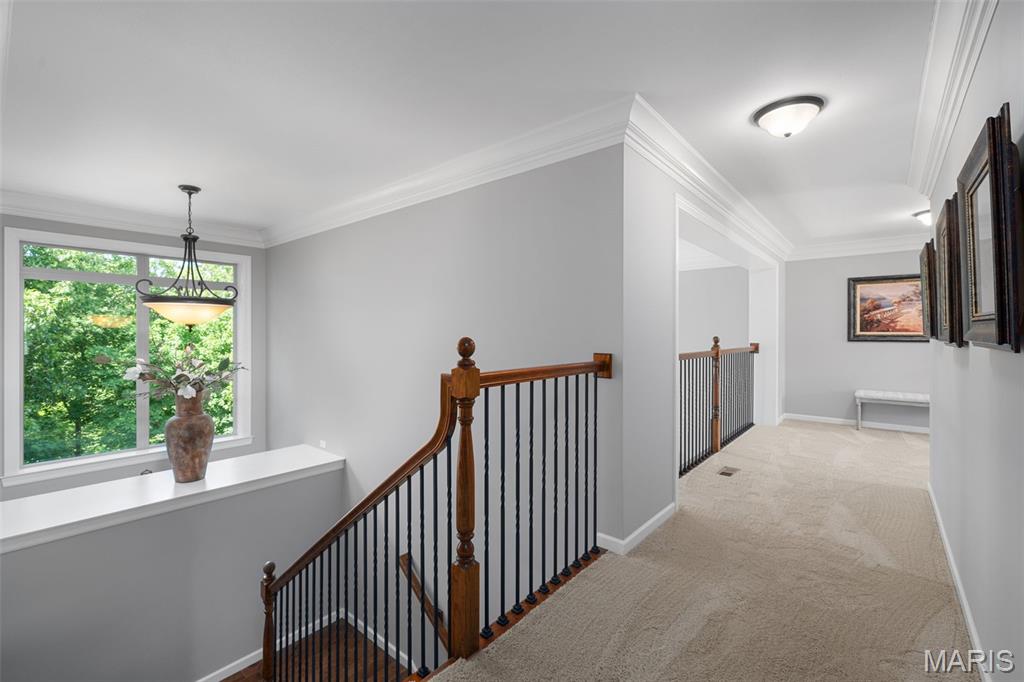 Homestead Estates At Wildwood - Residential