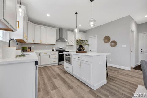 Tiny photo for 105 Timber Wind Drive, Wentzville, MO 63385 (MLS # 25082465)