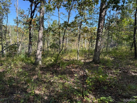 Tiny photo for 00 Highway Y (34 Ac) Road, Foley, MO 63347 (MLS # 26065954)