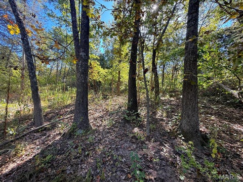 Tiny photo for 00 Highway Y (34 Ac) Road, Foley, MO 63347 (MLS # 26065954)