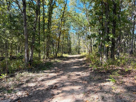 Tiny photo for 00 Highway Y (34 Ac) Road, Foley, MO 63347 (MLS # 26065954)