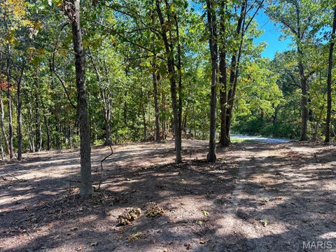 Tiny photo for 00 Highway Y (34 Ac) Road, Foley, MO 63347 (MLS # 26065954)