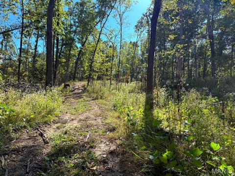 Tiny photo for 00 Highway Y (34 Ac) Road, Foley, MO 63347 (MLS # 26065954)