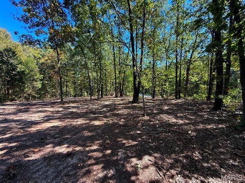 Tiny photo for 00 Highway Y (34 Ac) Road, Foley, MO 63347 (MLS # 26065954)