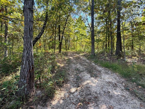 Tiny photo for 00 Highway Y (34 Ac) Road, Foley, MO 63347 (MLS # 26065954)