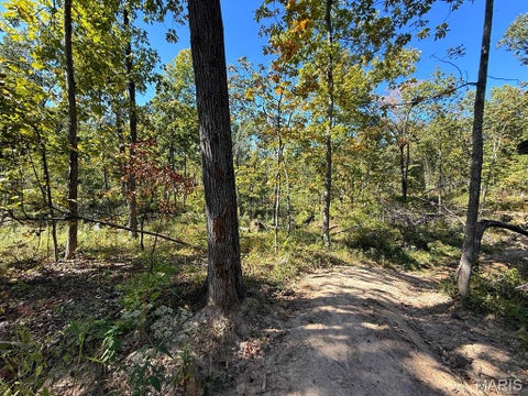 Tiny photo for 00 Highway Y (34 Ac) Road, Foley, MO 63347 (MLS # 26065954)