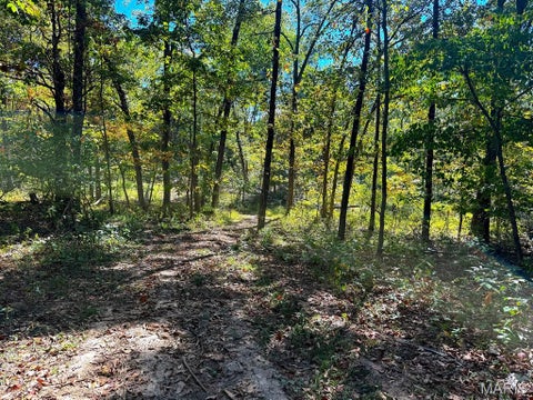 Tiny photo for 00 Highway Y (34 Ac) Road, Foley, MO 63347 (MLS # 26065954)