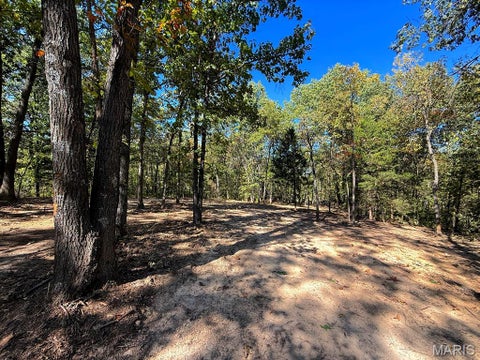 Tiny photo for 00 Highway Y (34 Ac) Road, Foley, MO 63347 (MLS # 26065954)