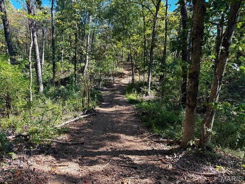 Tiny photo for 00 Highway Y (34 Ac) Road, Foley, MO 63347 (MLS # 26065954)