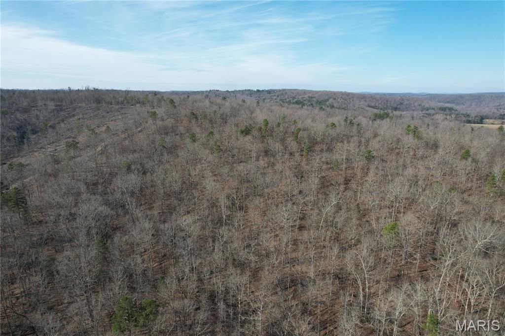 Photo of 10535 Hwy 67, Fredericktown, MO 63645 (MLS # 25079248)