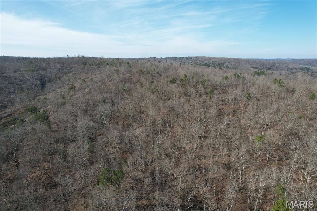 Photo of 10535 Hwy 67, Fredericktown, MO 63645 (MLS # 25079248)