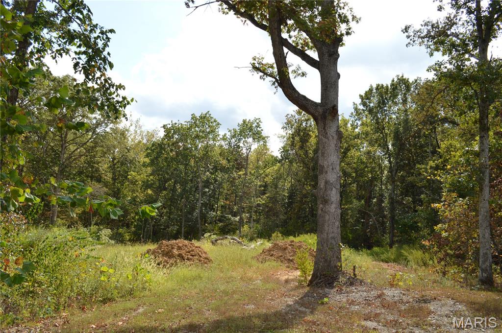 Foristell, Missouri 63348, United States, ,Land,Active,215653