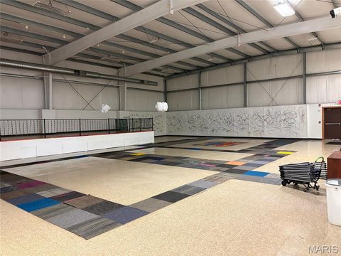 Tiny photo for 10112 Royal Drive, Unincorporated, MO 63136 (MLS # 26022633)