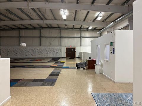 Tiny photo for 10112 Royal Drive, Unincorporated, MO 63136 (MLS # 26022633)