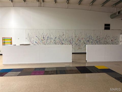 Tiny photo for 10112 Royal Drive, Unincorporated, MO 63136 (MLS # 26022633)