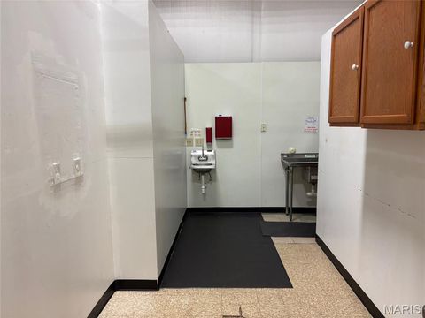 Tiny photo for 10112 Royal Drive, Unincorporated, MO 63136 (MLS # 26022633)