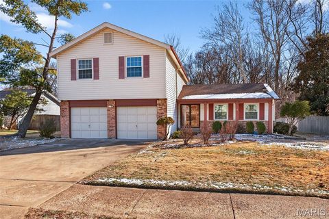 Photo of 15024 Lake Clay Drive, Chesterfield, MO 63017 (MLS # 26003179)