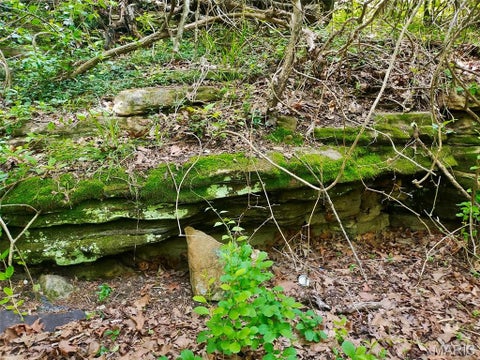 Tiny photo for 000 Russell Street, Sullivan, MO 63080 (MLS # 26068607)