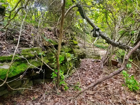 Tiny photo for 000 Russell Street, Sullivan, MO 63080 (MLS # 26068607)