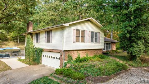 35 Castle Acres Festus MO 63028