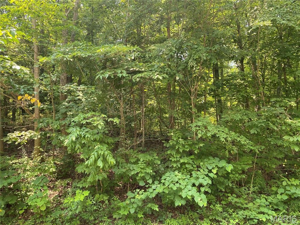 Raintree Plantation Sec 21 - Land