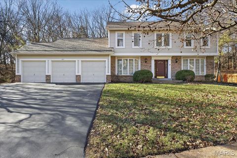 401 Thunderhead Canyon Drive Wildwood MO 63011