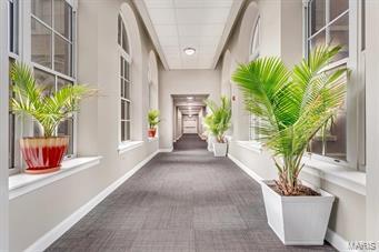 1515 Lafayette Avenue 316