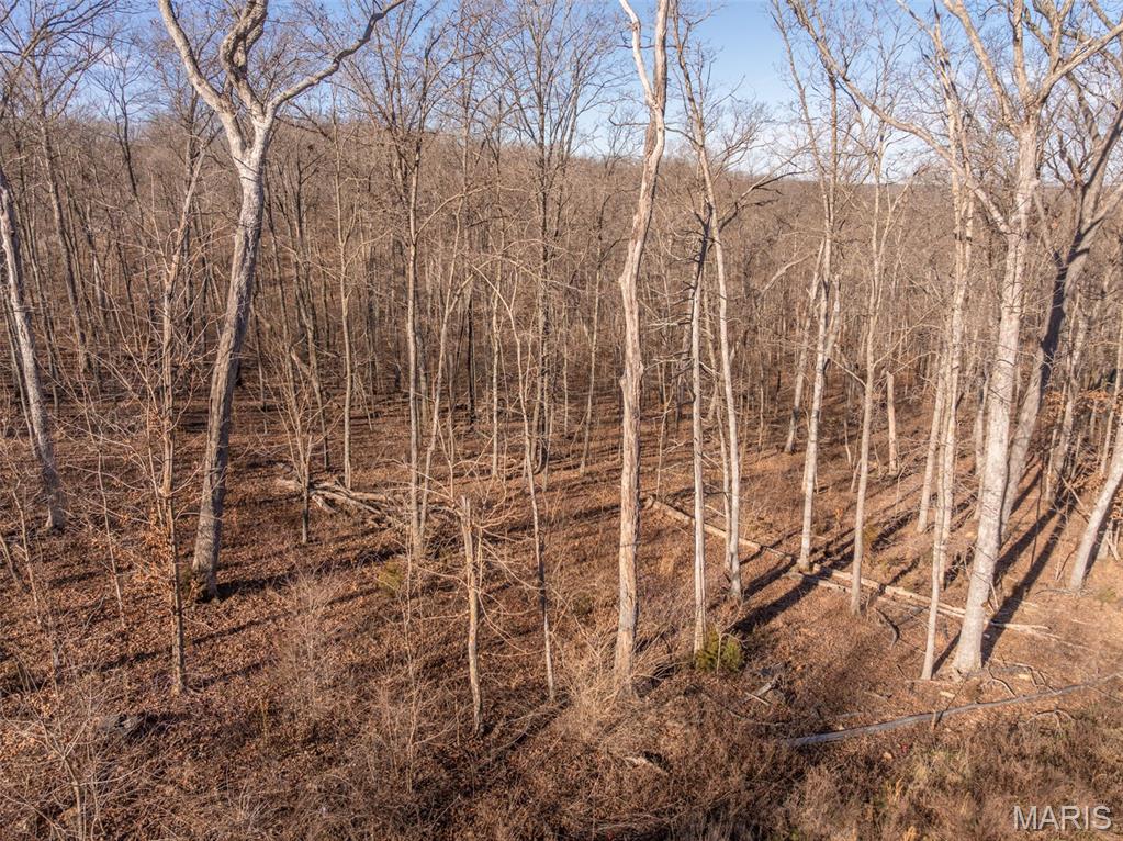 2832 Morgan Lake Drive